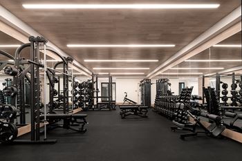 a gym filled with weights and other exercise equipment at The Paxton, Brooklyn, New York